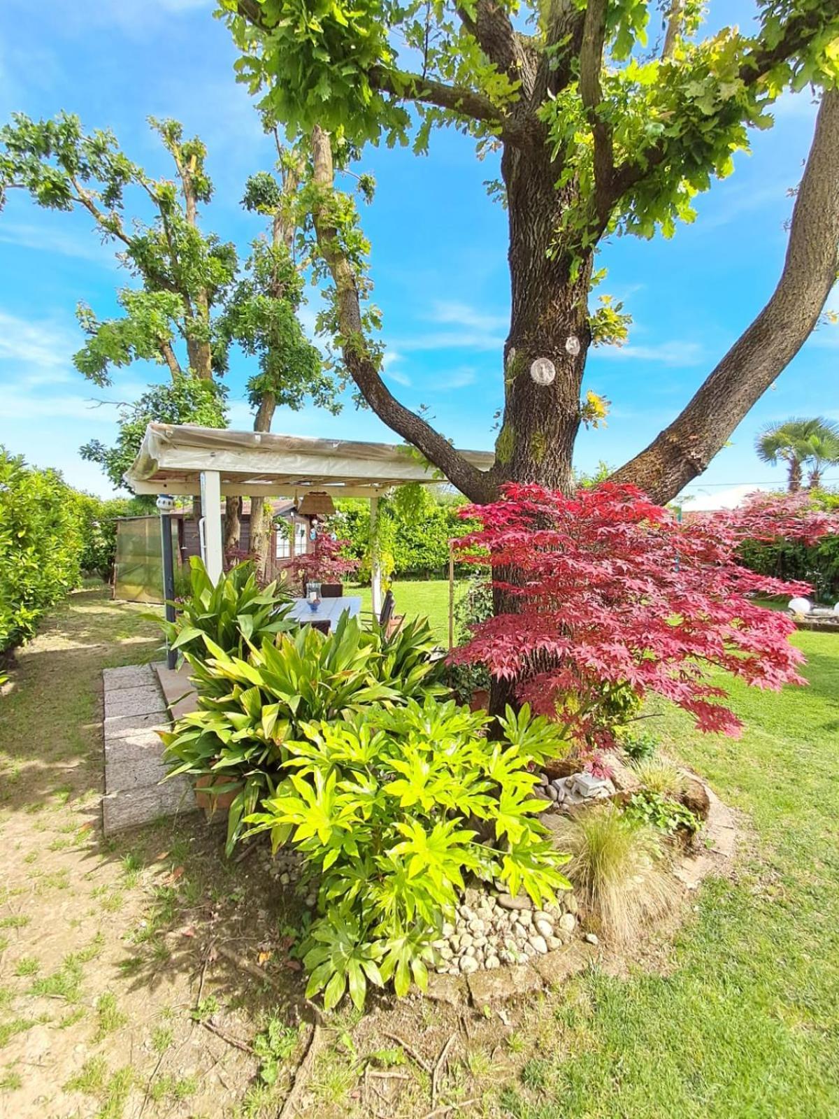 Villa Sabry Turriaco Luaran gambar